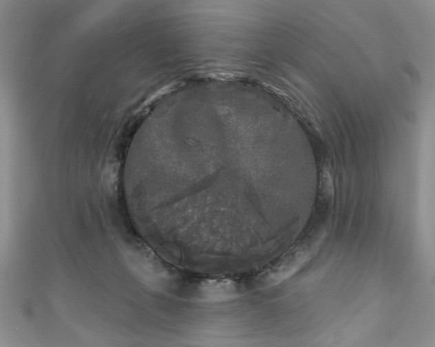 X0000111000271200906261505