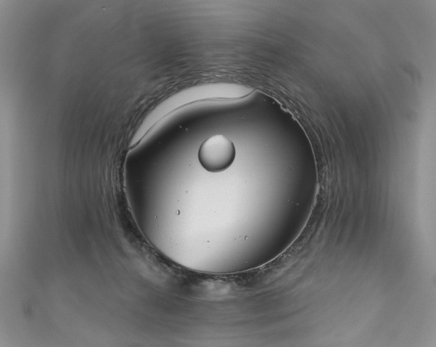 X0000111000272200906261505