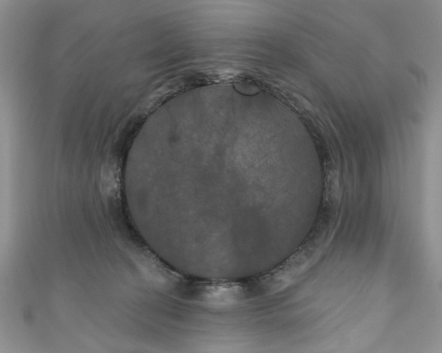 X0000111000274200906261505