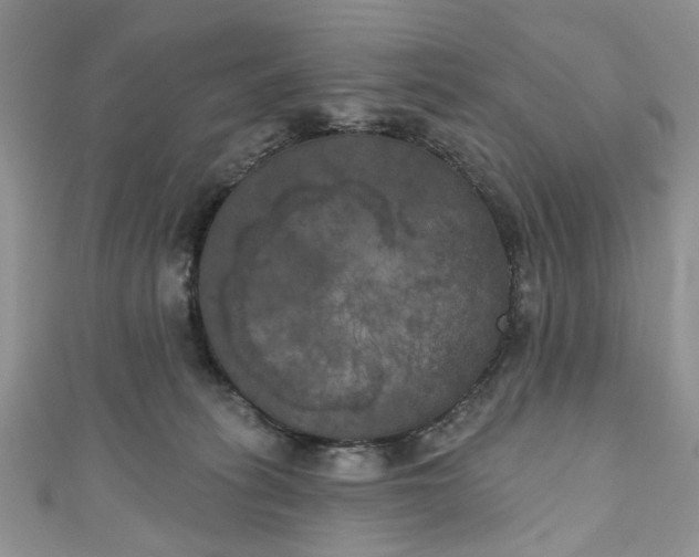 X0000111000275200906261505