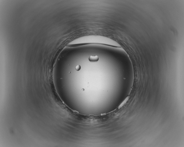 X0000111000276200906261505