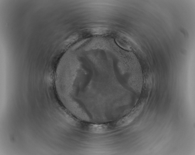 X0000111000277200906261505