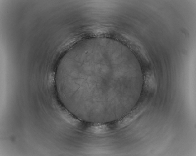 X0000111000278200906261505