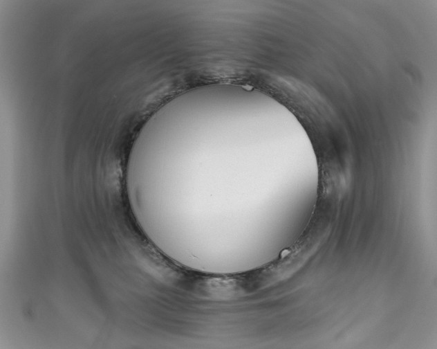 X0000111000279200906261505