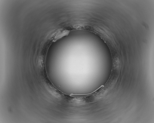 X0000111000280200906261505