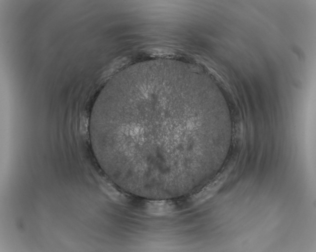 X0000111000281200906261505