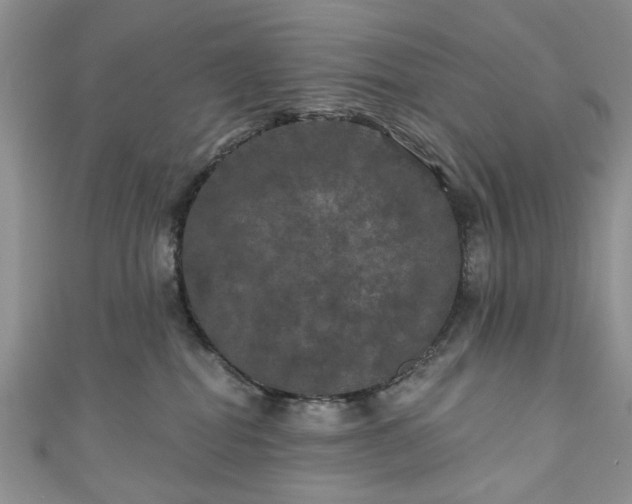 X0000111000282200906261505