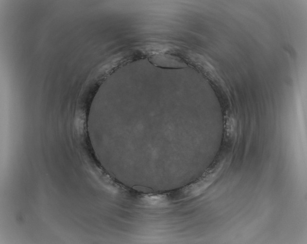 X0000111000283200906261505