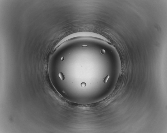 X0000111000284200906261505