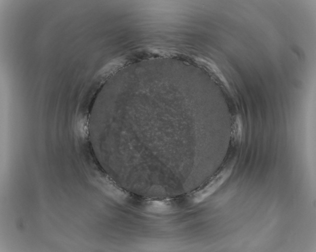 X0000111000285200906261505