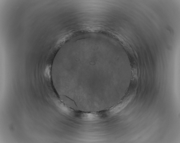 X0000111000286200906261505