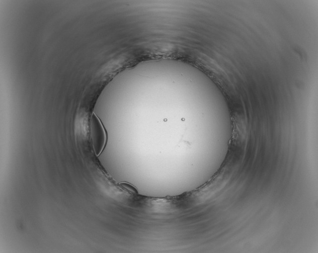 X0000111000287200906261505