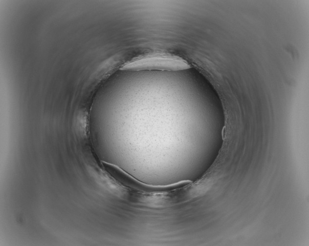 X0000111000288200906261505