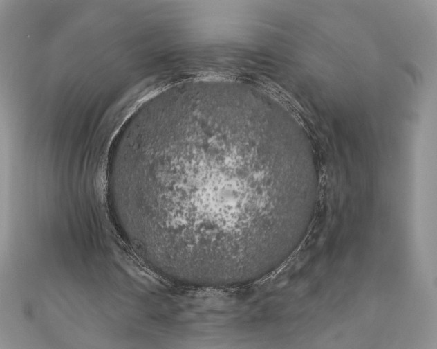 X0000111000290200906261504