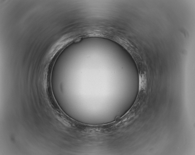 X0000111000291200906261504