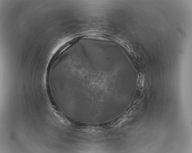 X0000111000292200906261504