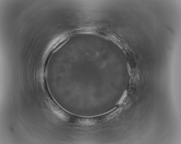 X0000111000293200906261504