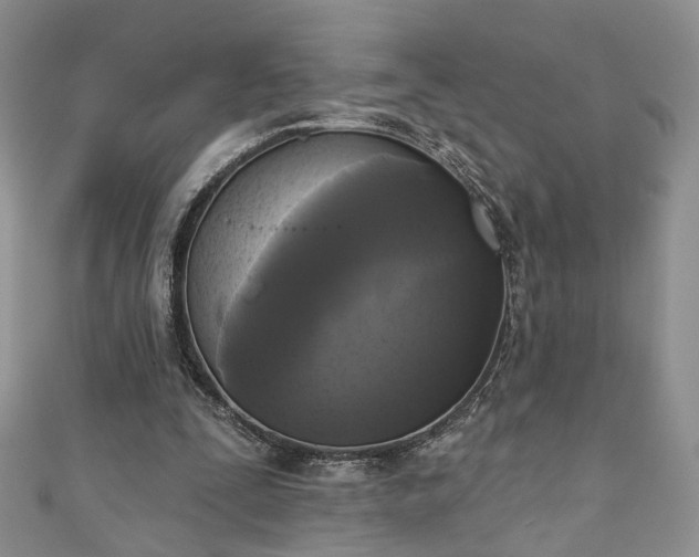 X0000111000295200906261504