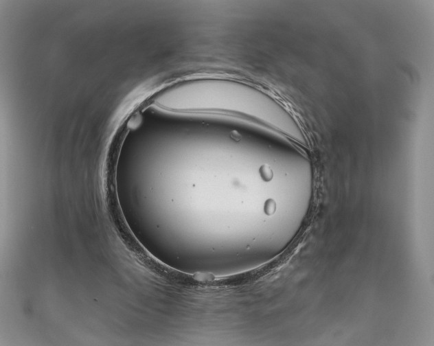 X0000111000296200906261504