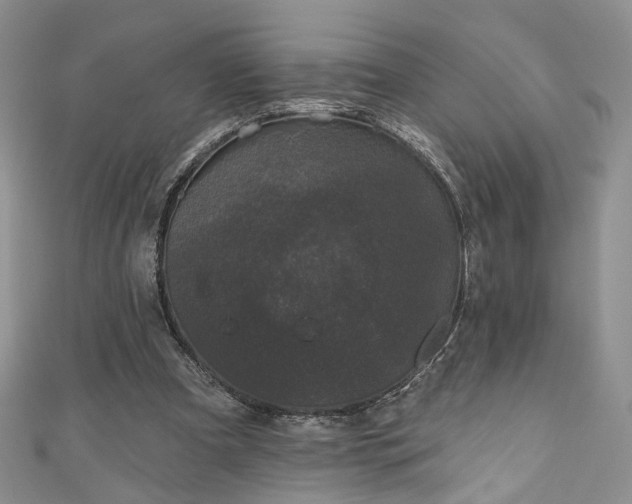 X0000111000297200906261504