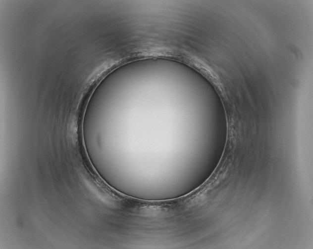 X0000111000298200906261504