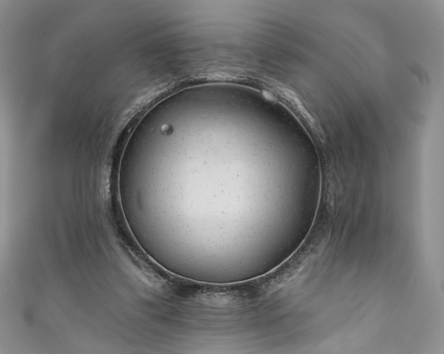 X0000111000299200906261504