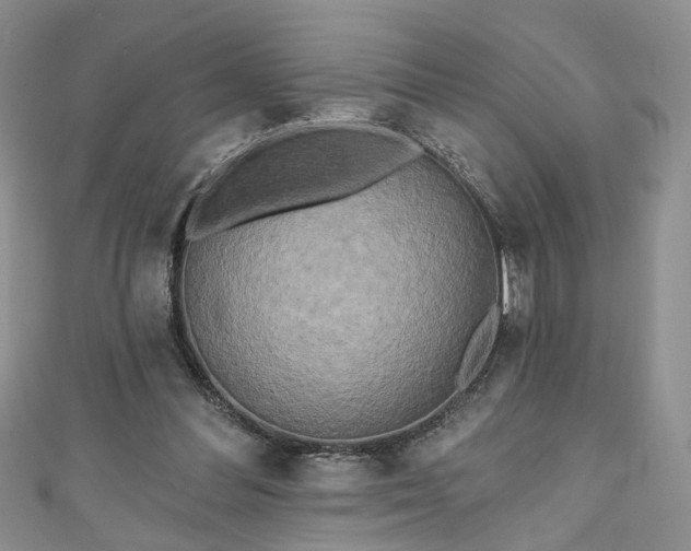 X0000111000300200906261504