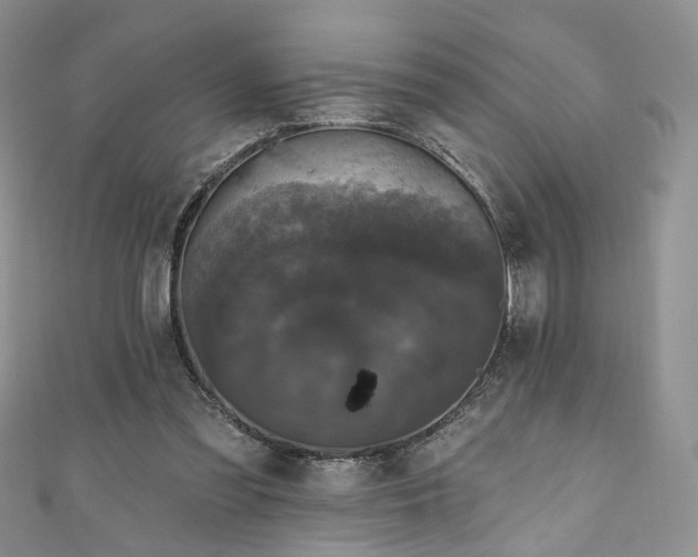 X0000111000301200906261504