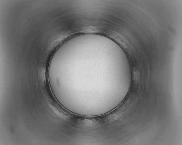 X0000111000302200906261504