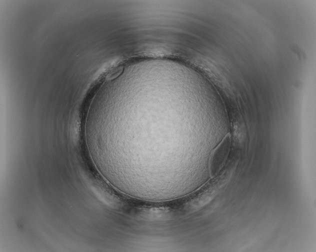 X0000111000304200906261504