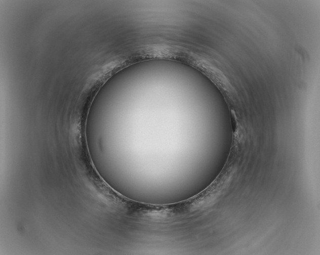 X0000111000306200906261504