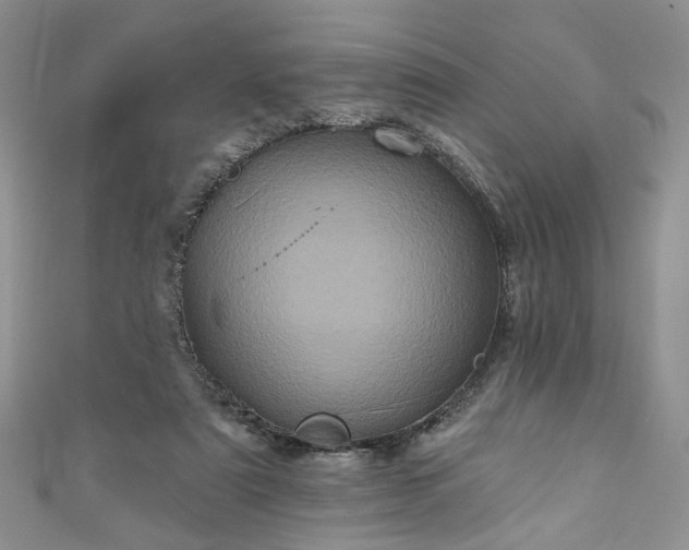 X0000111000307200906261504