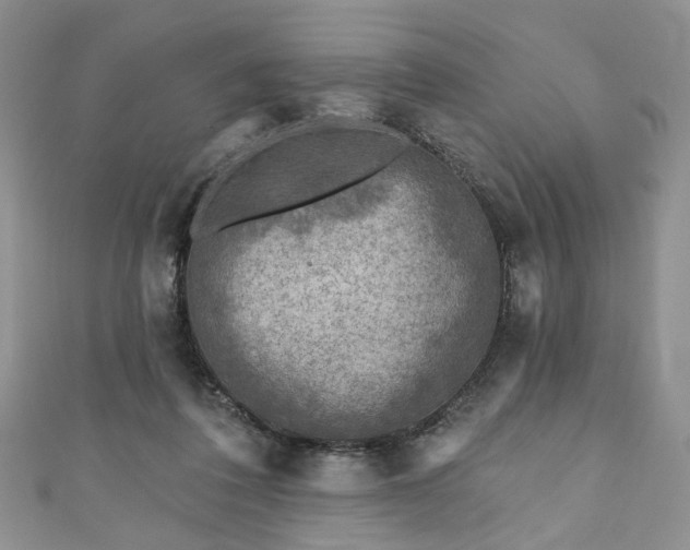 X0000111000308200906261504