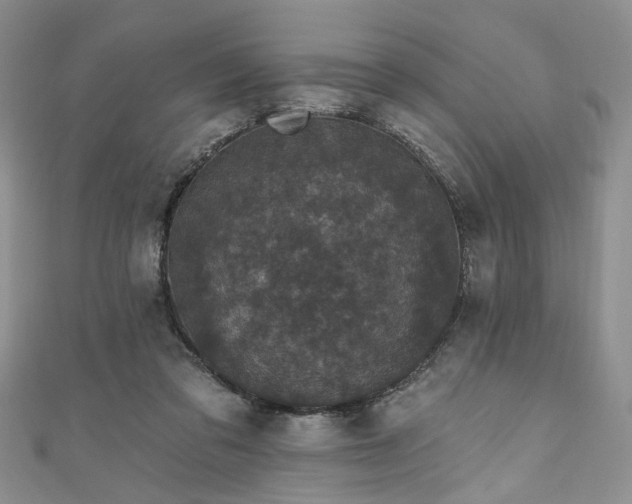 X0000111000309200906261504