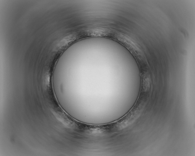 X0000111000310200906261504