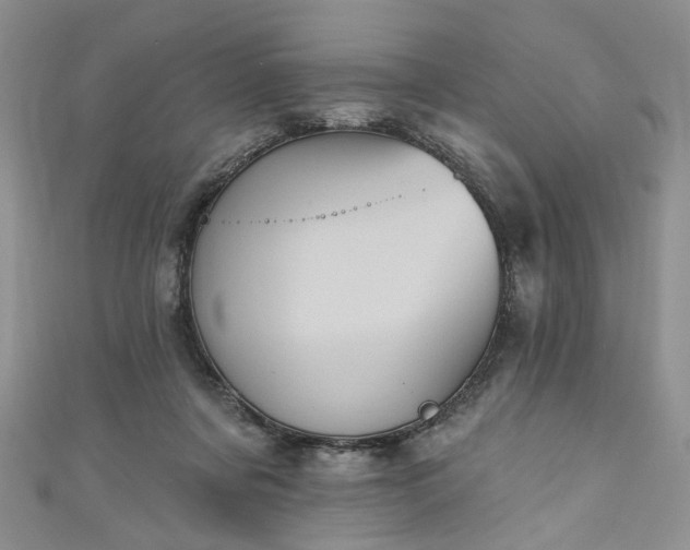 X0000111000311200906261504