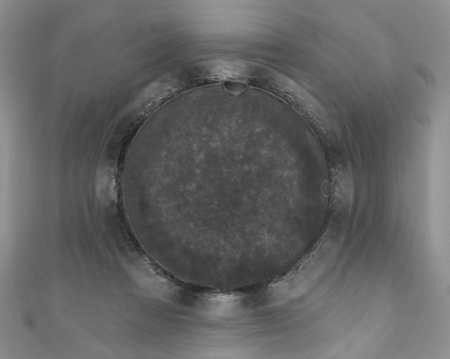 X0000111000313200906261504