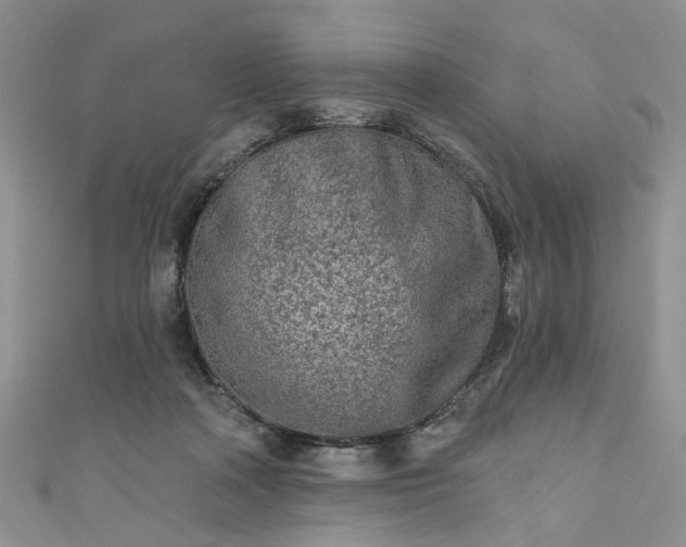 X0000111000314200906261504