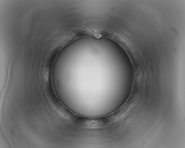 X0000111000315200906261504