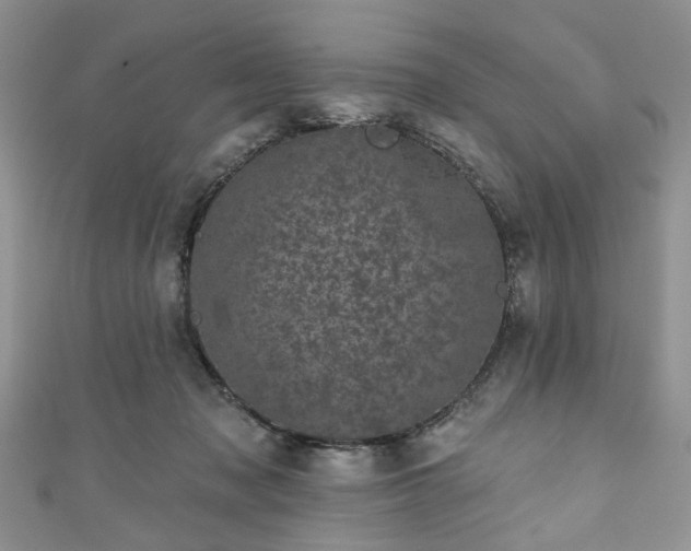 X0000111000317200906261504