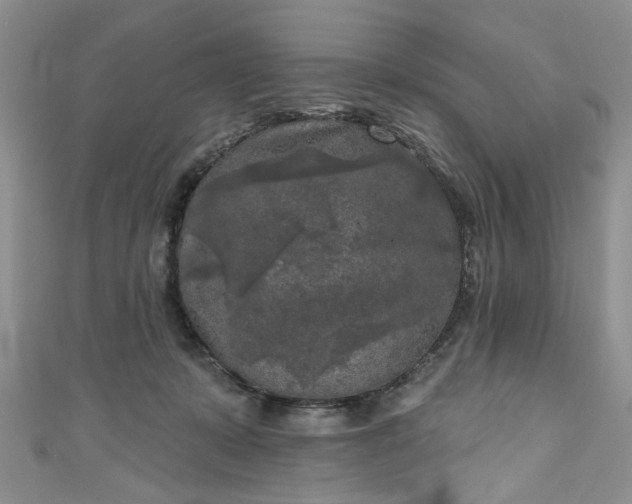 X0000111000319200906261504