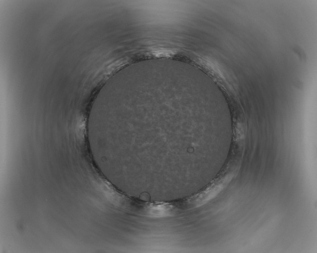 X0000111000321200906261504