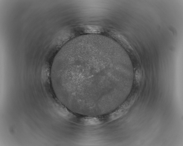 X0000111000322200906261504