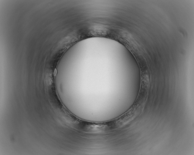 X0000111000323200906261504