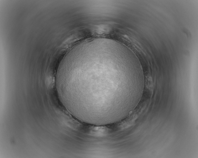 X0000111000324200906261504