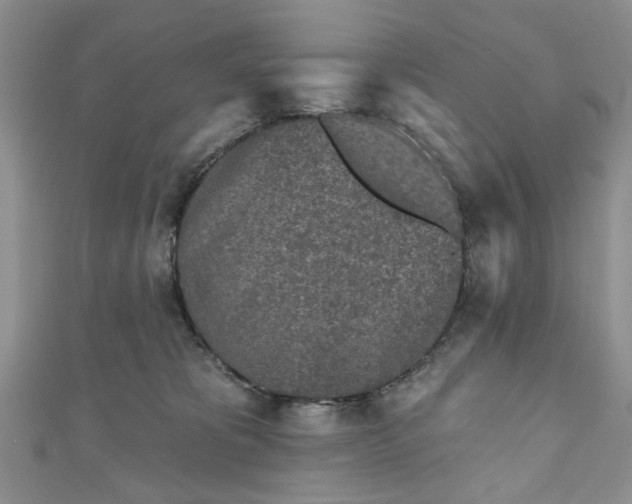 X0000111000325200906261504