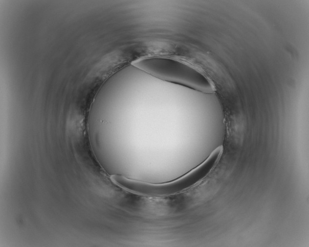 X0000111000327200906261504