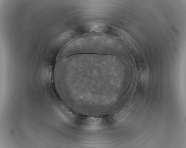 X0000111000328200906261504