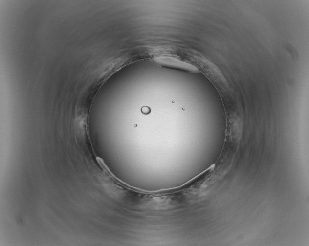 X0000111000329200906261504