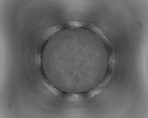 X0000111000330200906261504